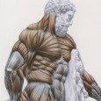 Video Tutorial 5 : Process Documentary, Sculpting Hercules           ITEMS  AVAILABLE FOR PURCHASE Mastering The Human Anatomy Sculpting DVD […]
